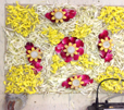 Rangoli Compitition